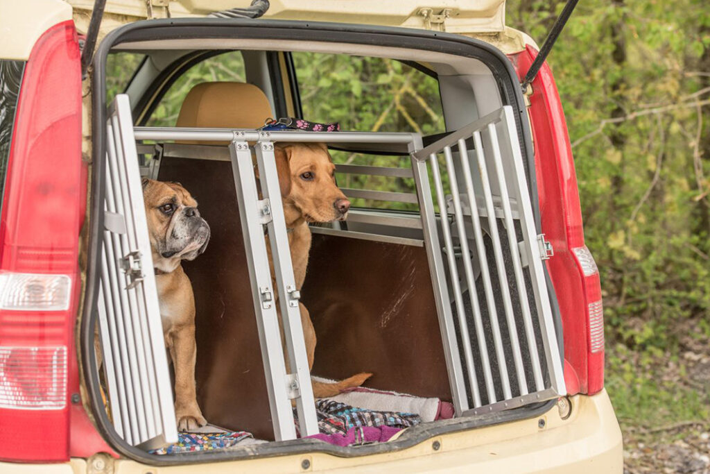 Jaula para perros: cuándo transportar a tu peludo en ella