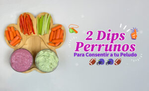 Receta de 2 dips para consentir a tu perrito